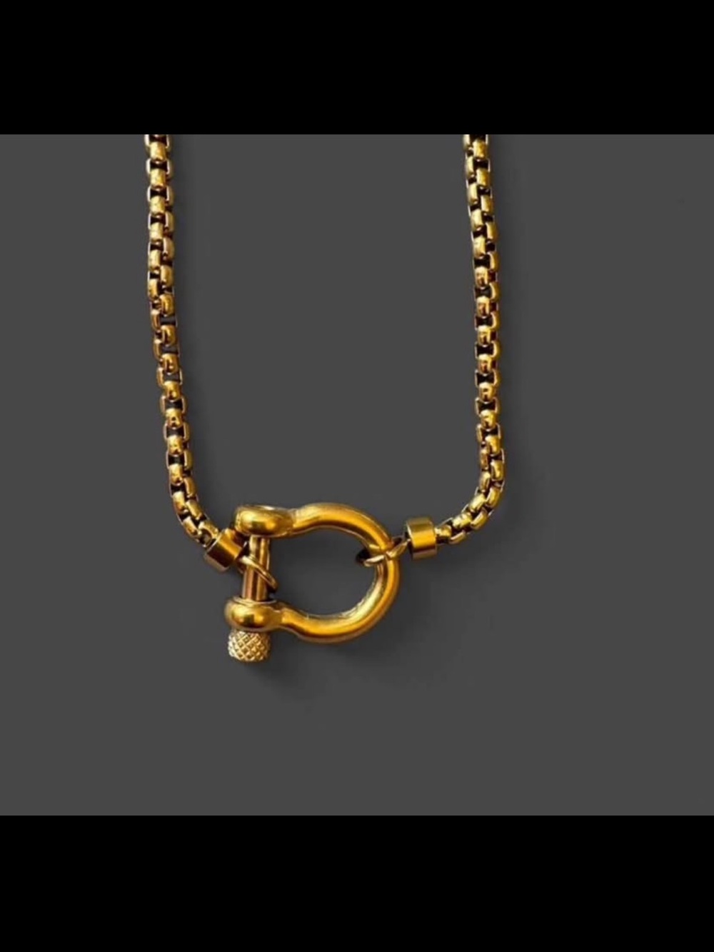 Gold Horseshoe Clasp Necklace